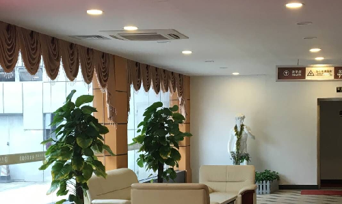 戒了手淫会恢复正常吗